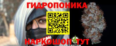 гидропоника Лесосибирск