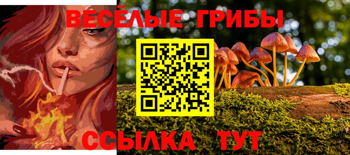 Псилоцибиновые грибы Cubensis Гагарин