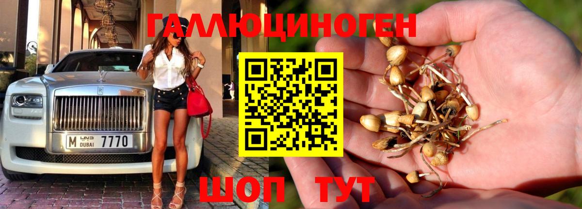 Гагарин  Псилоцибиновые грибы Psilocybe  Галлюциногенные грибы ЛСД  Вход с VPN 